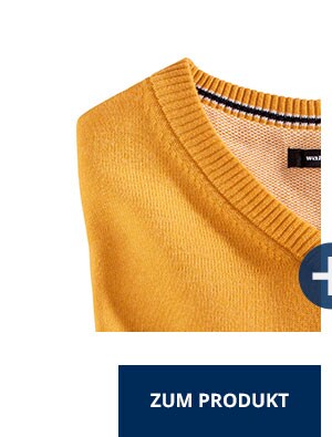 V-Pullover Soft Cotton | Walbusch