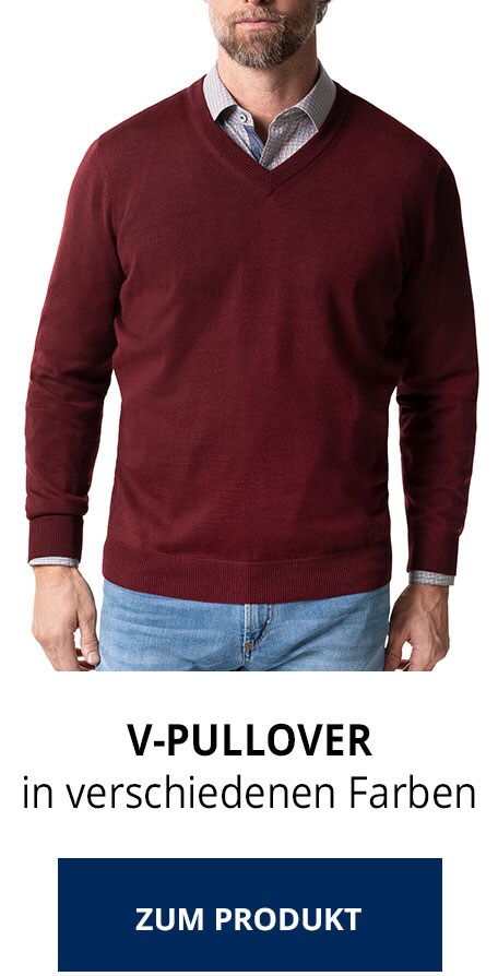V-Pullover | Walbusch