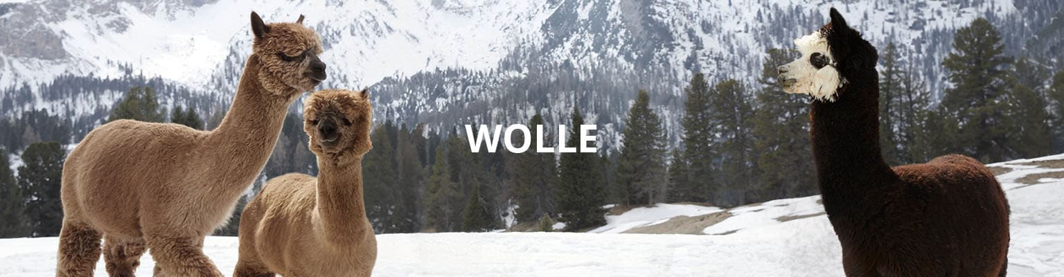 Wolle | Walbusch