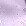 Flieder