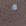 Beige Beige