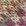 Camel Melange Camel Melange