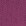 Fuchsia Fuchsia