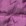 Fuchsia Fuchsia