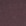 Dark Purple Dark Purple