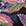 Multicolor Multicolor