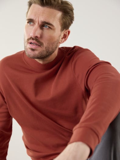 Langarm-Shirt Stehkragen Terra