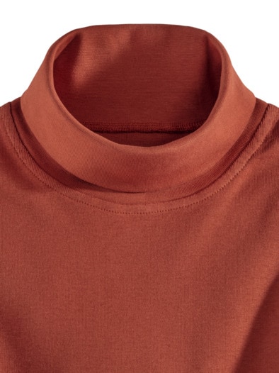 Rollkragen-Shirt Terra