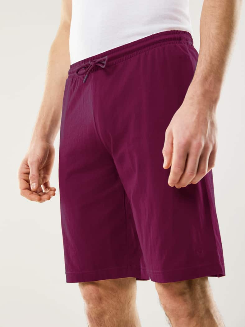 24/7 Hose kurz Burgund
